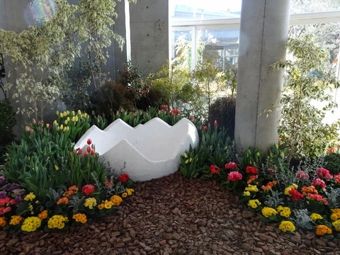 DSC01670 (640x480)