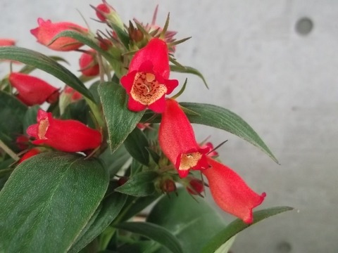 DSCF6443 (640x480)