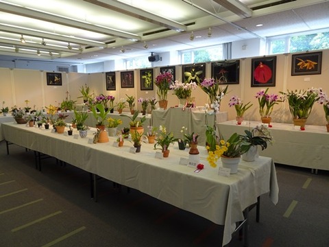 DSC03104 s