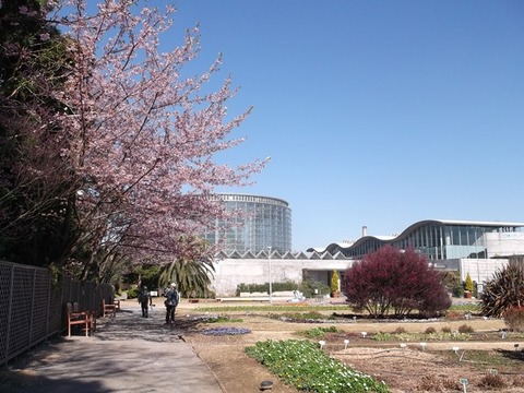 DSCF3968