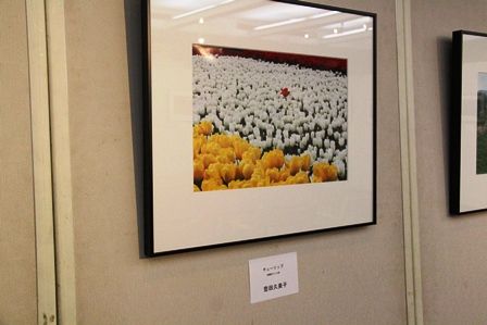 IMG_3054