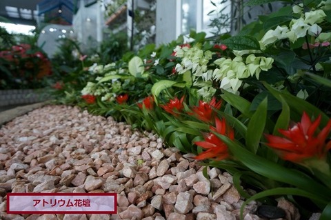 DSC06260 (640x425)