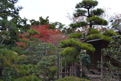 DSC_0292 - コピー