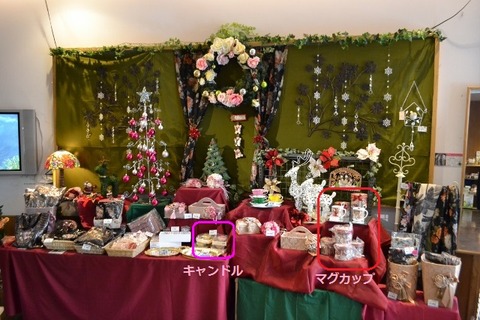 DSC_0036 (640x427)