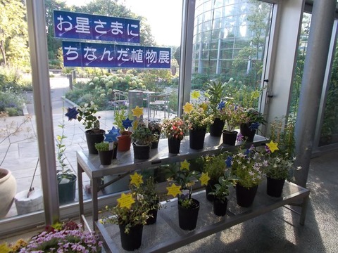 DSCN4416 s