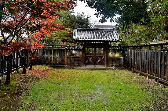 06