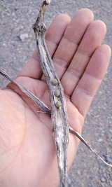 98f8b1a7.jpg