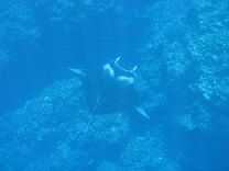IMG_1892