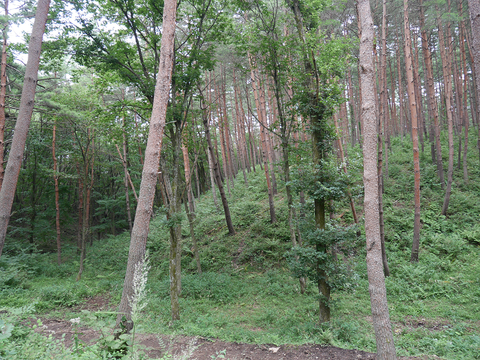 P1050163
