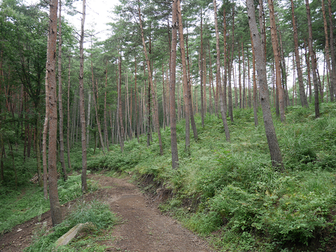 P1050164