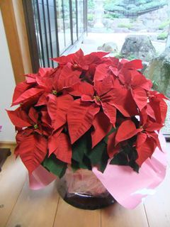 DSCF2005_R