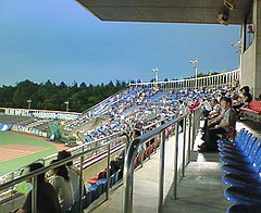 NEC_0451