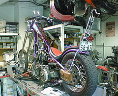 NEC_0438