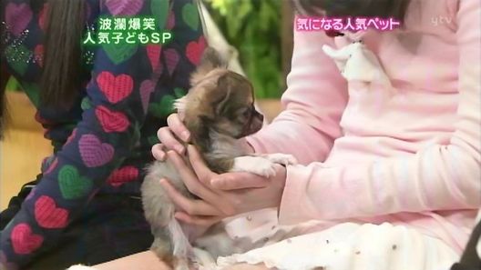 hirame082520