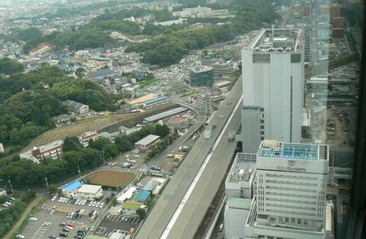 shinyoko_150_1