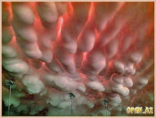 1218637555_mammatus