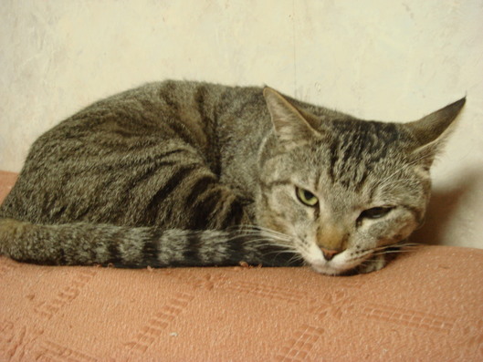 vlnews014973
