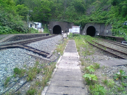 koborosta05