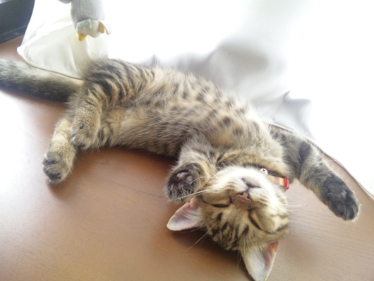 azuYnajVAww