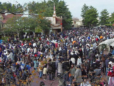 tdl_full