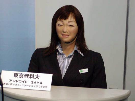 200504199cef117d