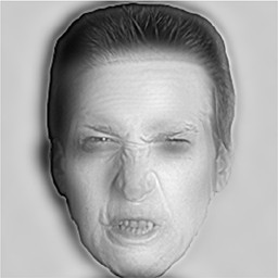 HybridFace2_OlivaSchyns