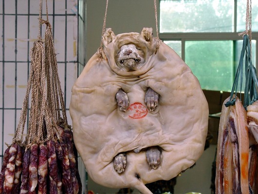 presseddog2