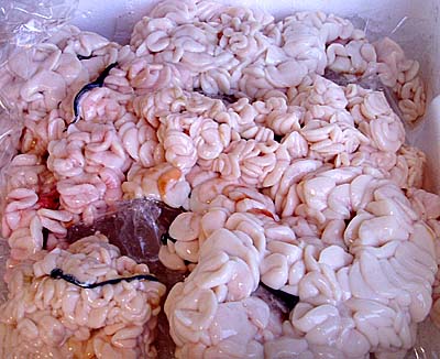 P1200040