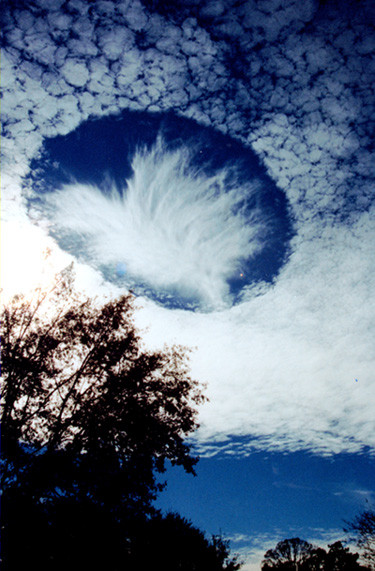 SCC4-holecloud