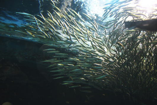 10photo06