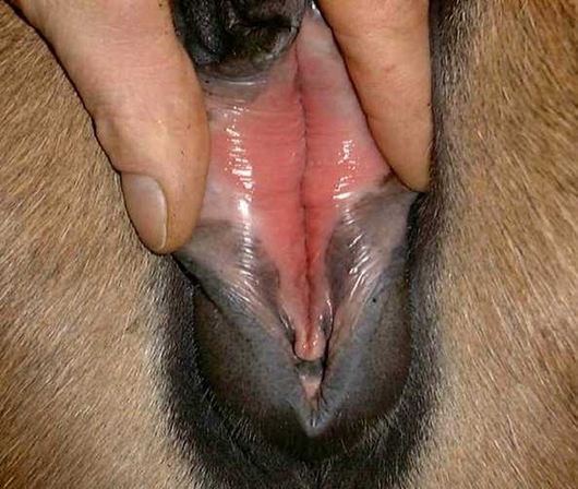 lips_spred_Bay