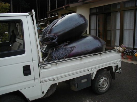 132nasubi