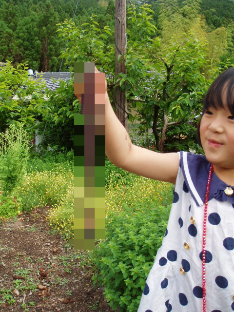 BlogPaint