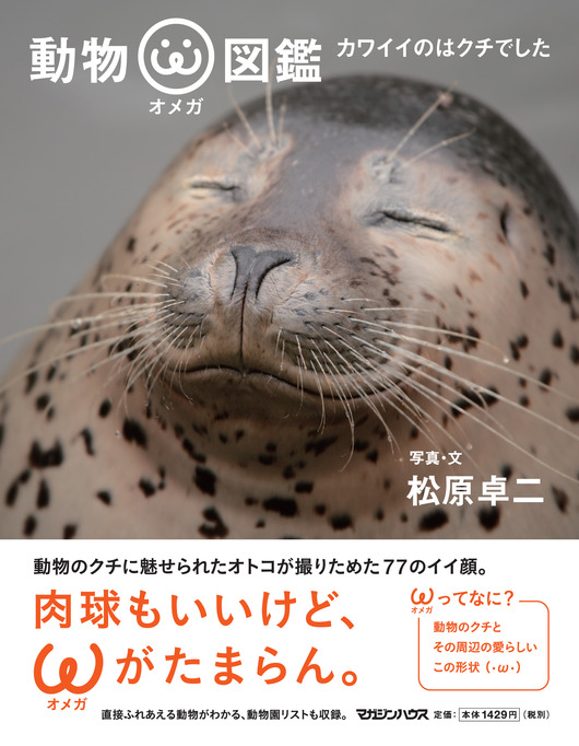 887525ae4a1e6887