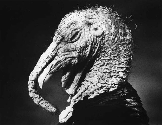 img058