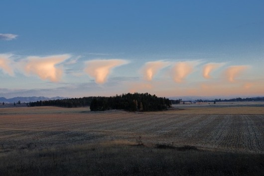 gw54316,1243921494,Strange-Clouds