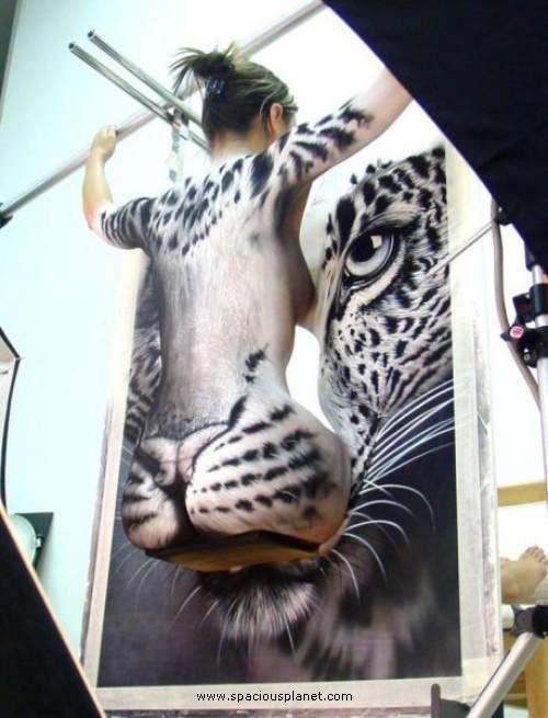 optical-illusions60112668208509400