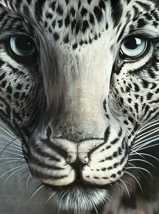 Leopard-Optical-Illusion