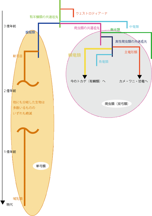 vlnews044158