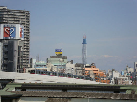 org891254