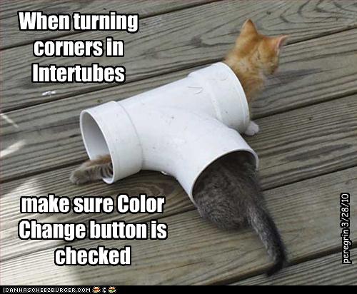 funny-pictures-cats-are-in-tubes