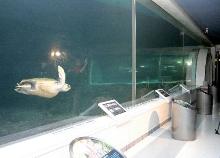 20100618-887293-1-L