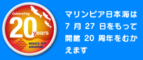 20rogo2