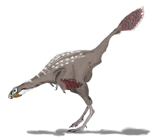 %E3%83%95%E3%82%A1%E3%82%A4%E3%83%AB_Caudipteryx2mmartyniuk