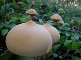 sukima098127