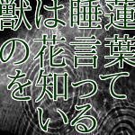 00000a52
