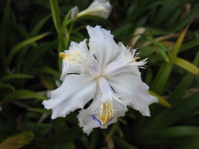 IMG_0229