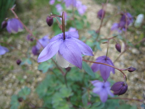 031