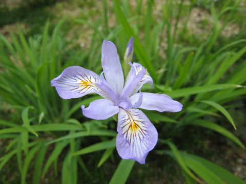033