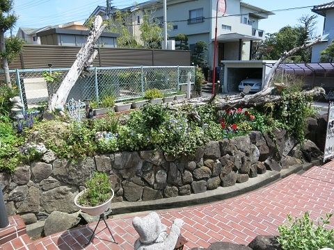 IMG_4450_LI